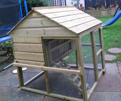 Chicken shed