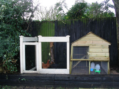 Chickenhouse1