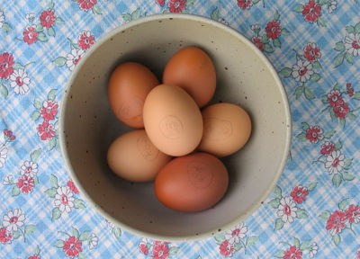 More eggs