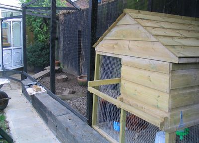 New chicken run