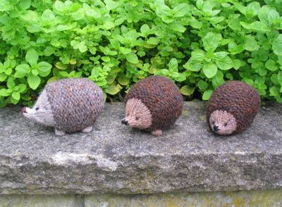 Hedgehogs