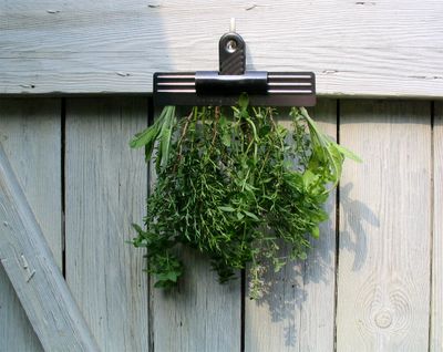 Herb drying