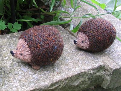 Hedgehogs2