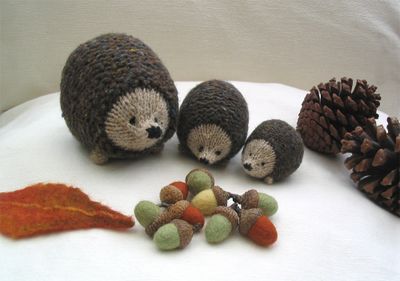 Acorns and hedgehogs