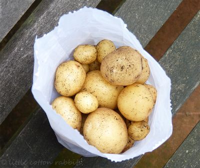 Potatoes