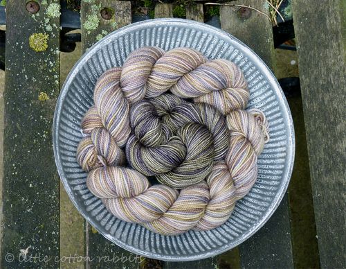 Koigu5