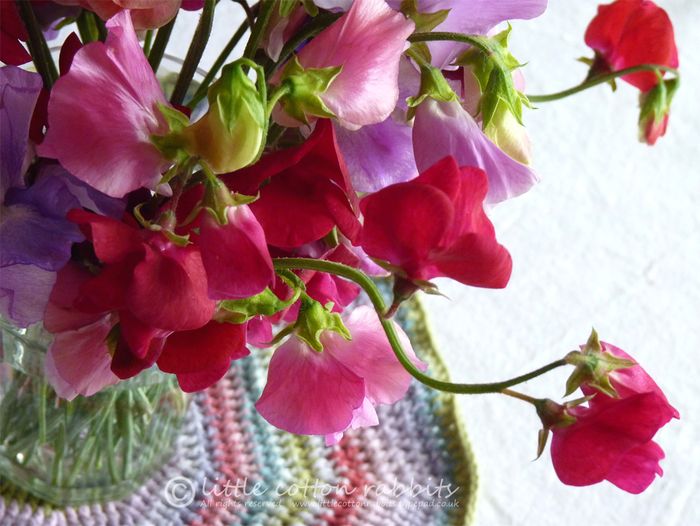 Sweet peas