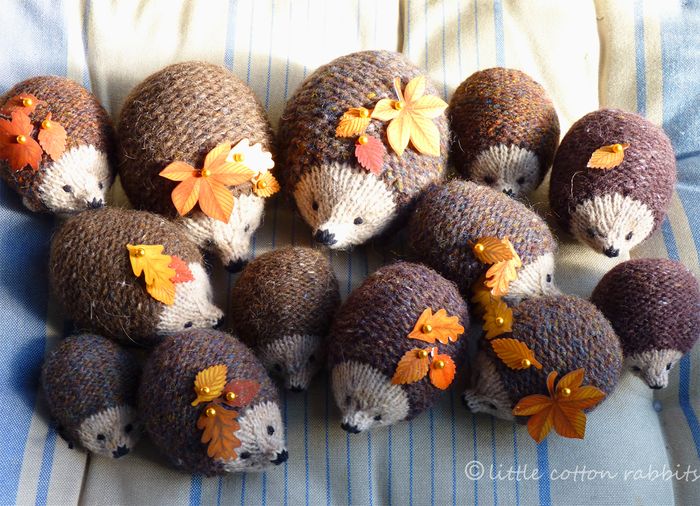 Hedgies