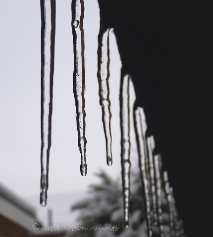 Icicles