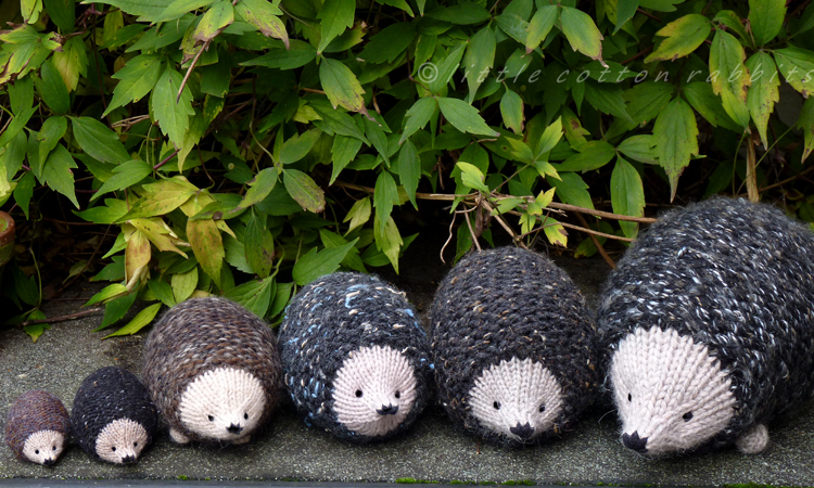 a prickle of hedgehogs - Little Cotton Rabbits