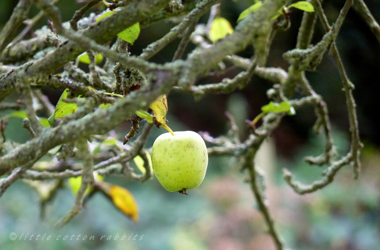 Crabapple