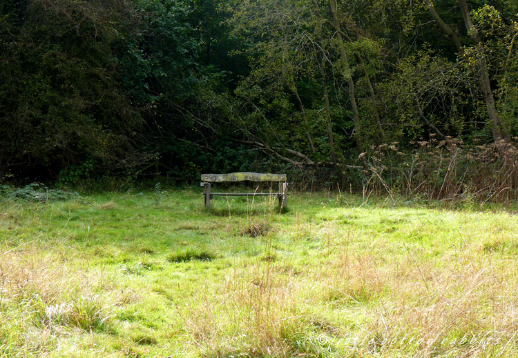 Bench2 (2)