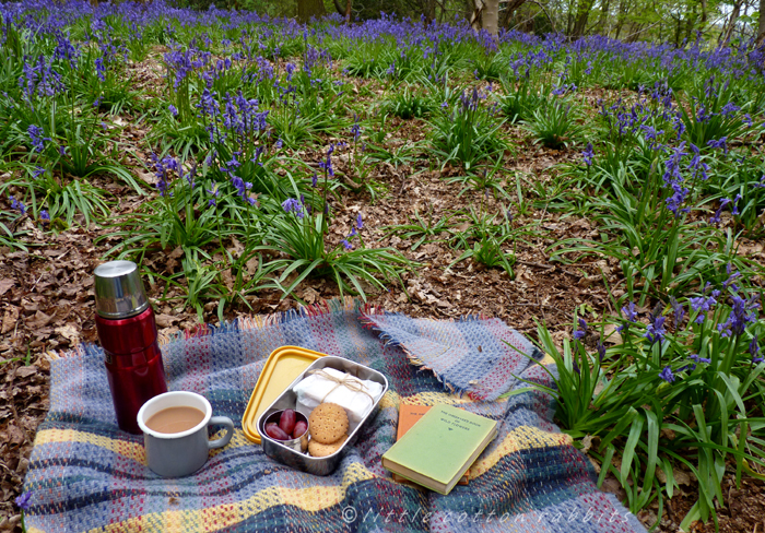 Picnic