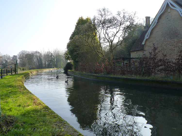 Towpath