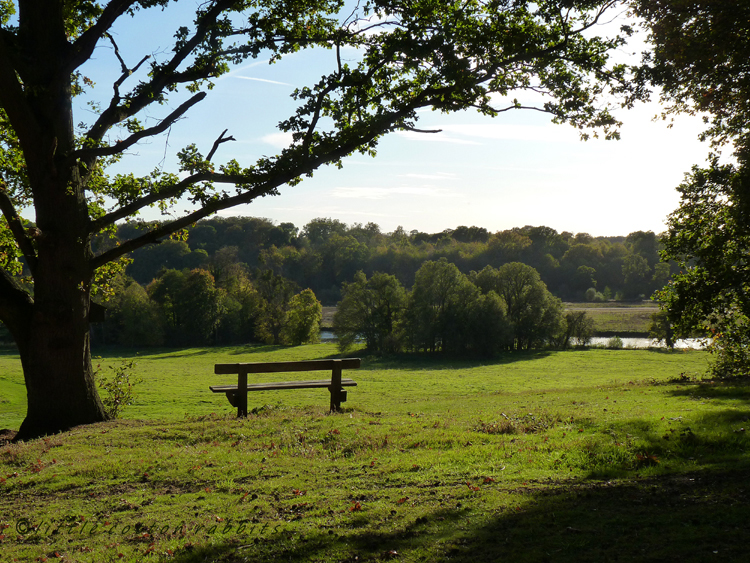 Bench