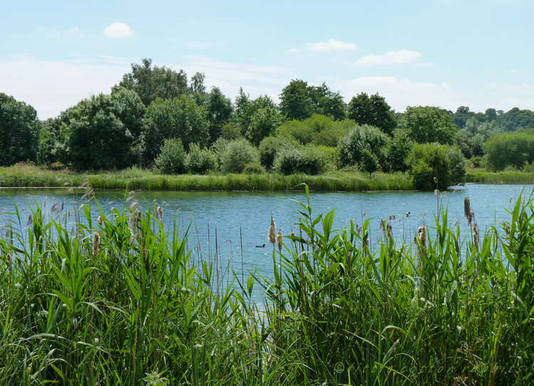 Hollycross lake