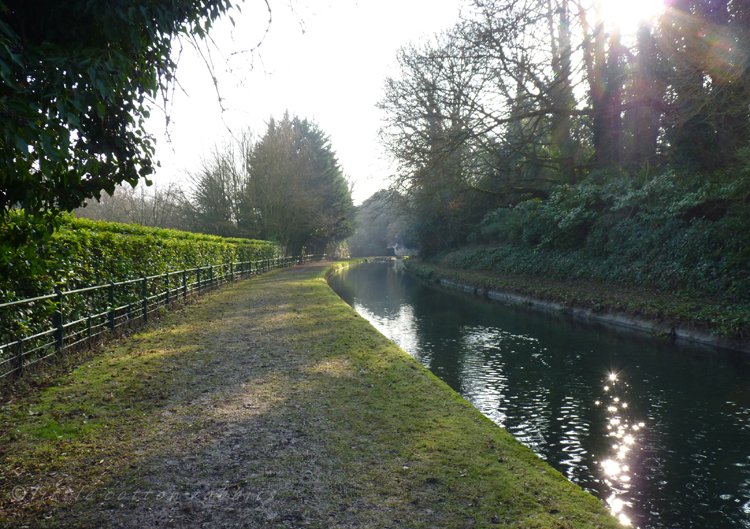 Towpath2