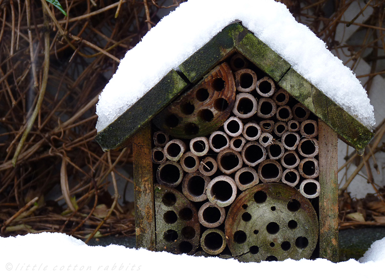 Snowyinsecthouse