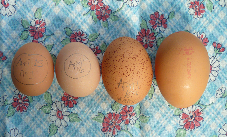 Easter eggs