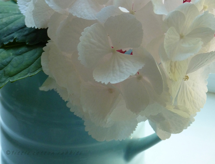 Hydrangea jug