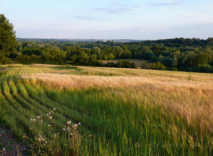 Widbury hill