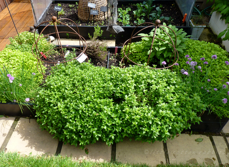 Herb bed