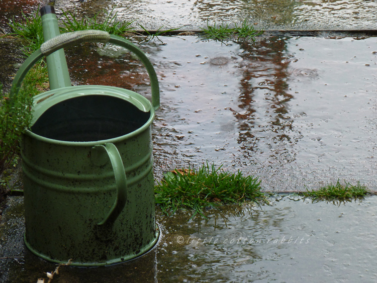 Watering can