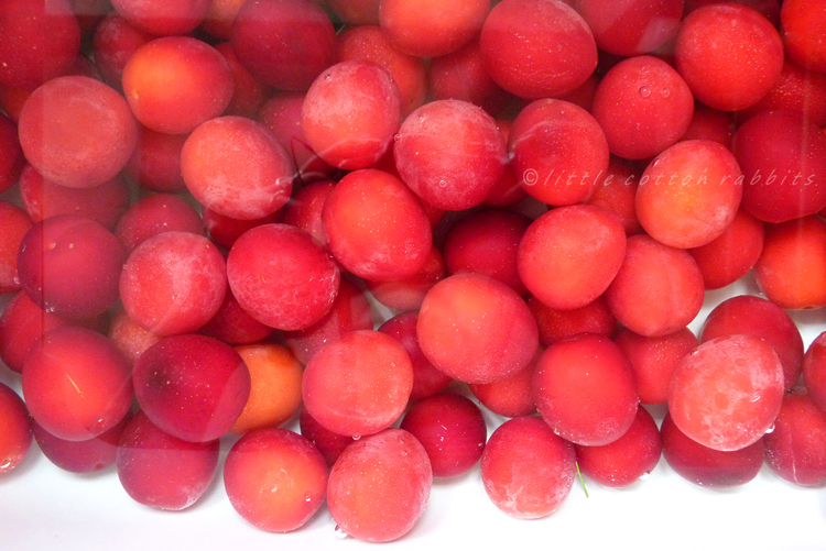 Washingplums