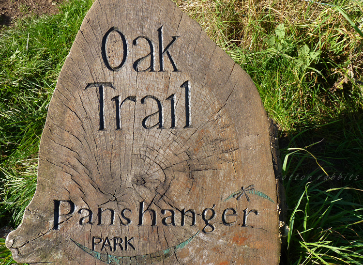 Oak trail