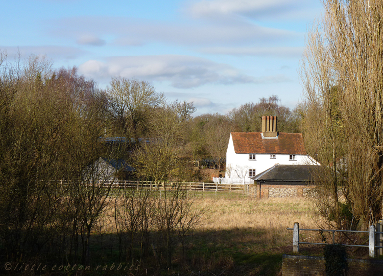 Across the fields