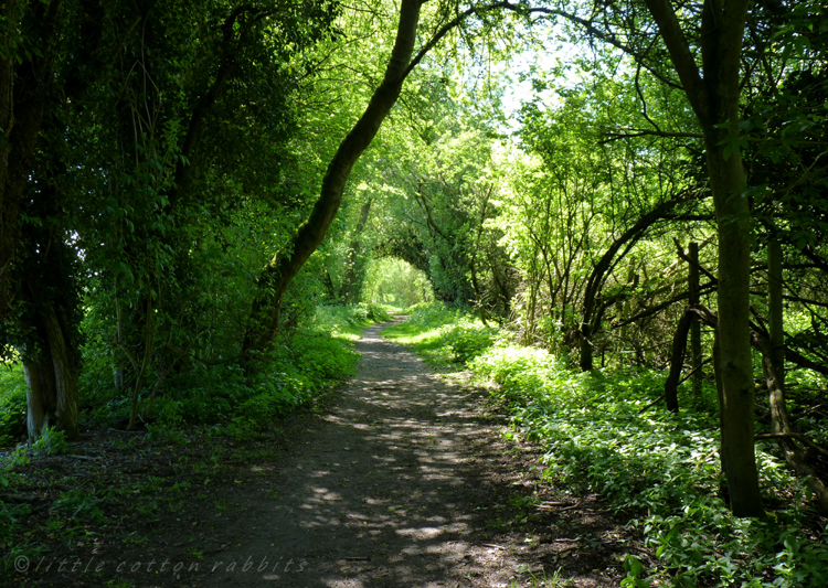 Leafy tunnel2