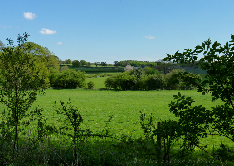 English countryside