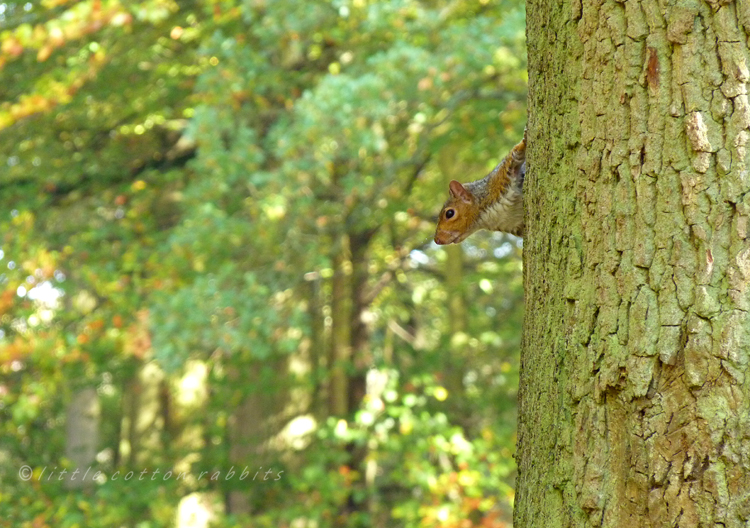 Peekaboo