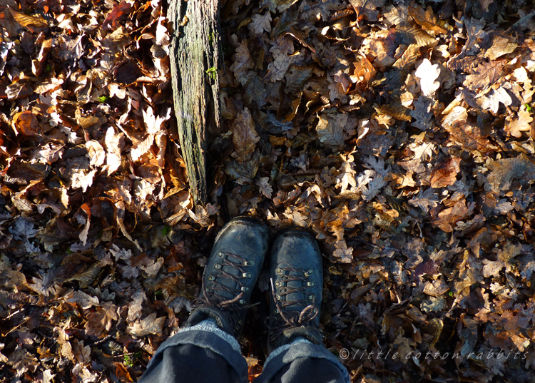 Leaf litter