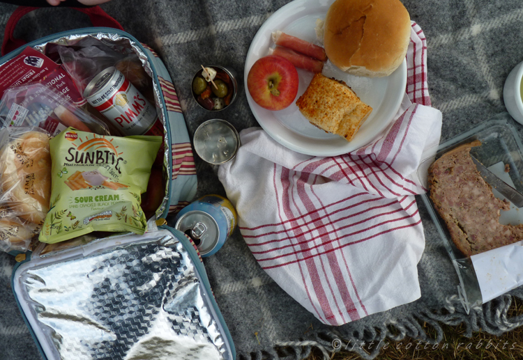 Picnic food