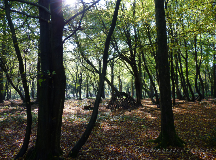 Tree shapes