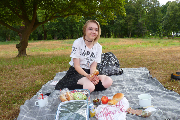 Picnic