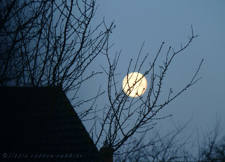 January moon