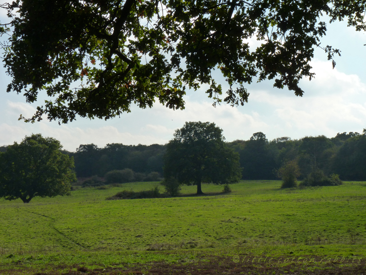 Field path