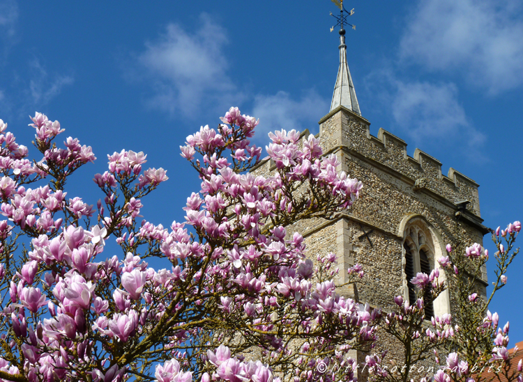 St Mary the Virgin church