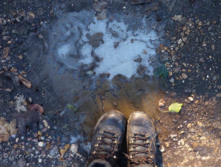 Frozen puddle