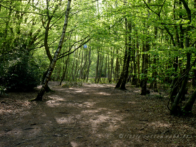 Green overhead