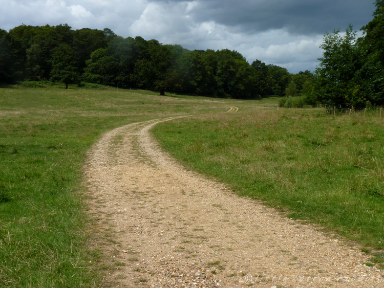 Along the track