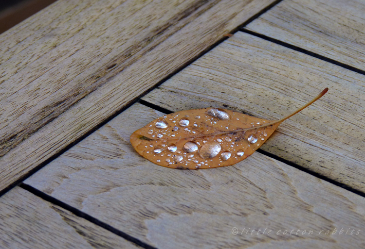 Silvered leaf