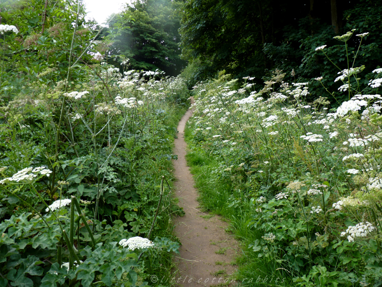 Pathway