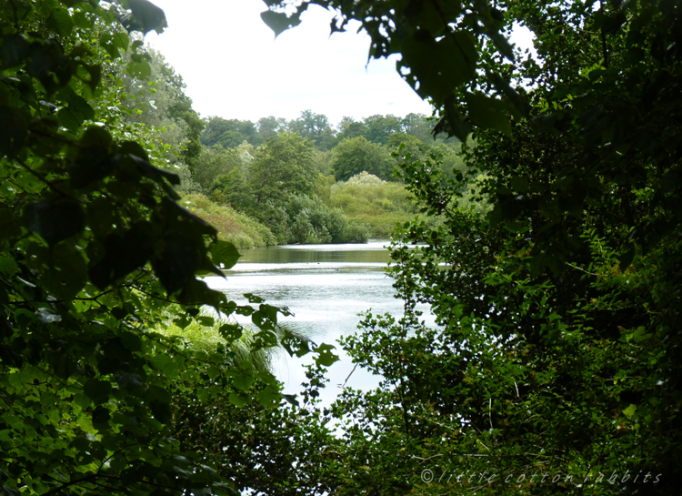 Through the trees