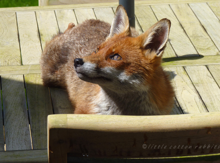 Sunbathing