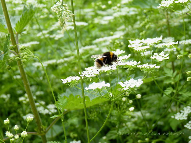 Now that dreaded 'bumblebee' unis have been put to rest, what