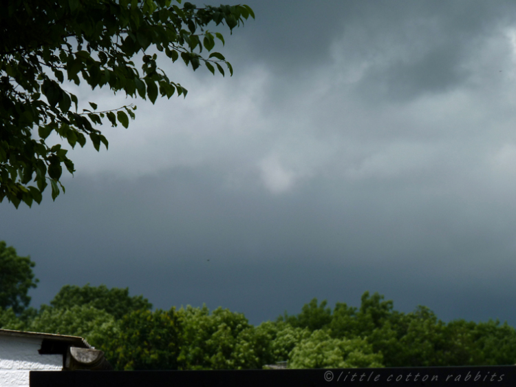 Storm brewing