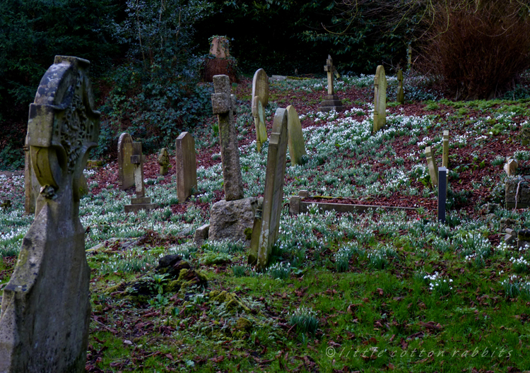 Churchyard2
